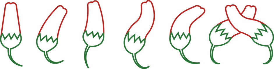 Chili pepper icon set, capsicum collection hot spice vector group, jalapeno silhouette and outline, cayenne symbol bundle, vegetable pictogram pack in line style for seasoning design isolated
