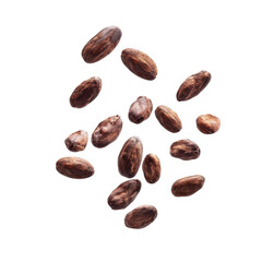 Obraz premium Dried Cocoa beans or seed falling in the air, cascade of dried cocoa beans suspended in the air, isolated on transparent background