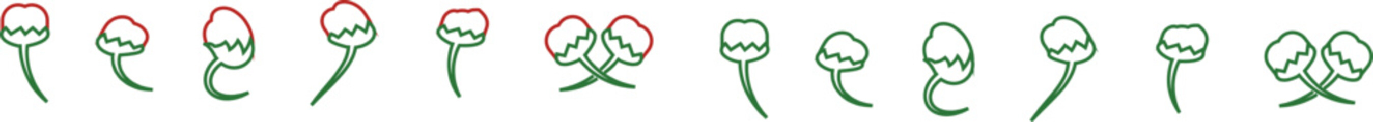 Chili pepper icon set, capsicum collection hot spice vector group, jalapeno silhouette and outline, cayenne symbol bundle, vegetable pictogram pack in line style for seasoning design isolated