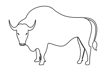 Minimalist continuous line drawing a bull animal single