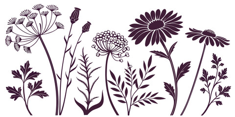 Vintage Herbarium Silhouette Collection - Pressed Flower Vector Set with Daisies, Poppies & Wildflowers