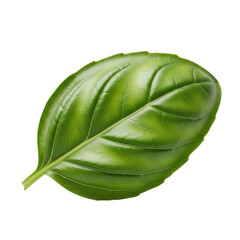 Naklejka premium A single vibrant green basil leaf, pristine with delicate veins and smooth surface, against a solid transparent background with no shadows, concept of botanical purity