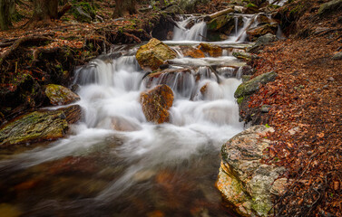 Fototapeta premium waterfalls of the Jeseníky mountains, waterfall, water, stream, forest, nature, river, cascade, landscape, green, rock, fall, stone, falls, flow, tree, trees, park, mountain, rocks, creek, travel, mos