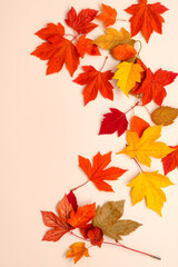 Vibrant Autumn Leaves Flat Lay on Soft Beige Background – Cozy Fall Seasonal Composition with Maple, Oak, and Birch Leaves