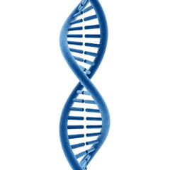 dna strand on white background