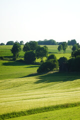 The landscape of Baden Wuerttemberg, the Schwabisch Alb 