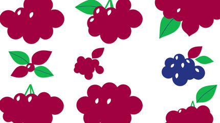 Stylized illustrations of various berry clusters with green leaves, arranged on a white background. © Bushcraft