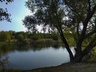 A rural landscape with a calm pond surrounded by dense trees. The branches of a tree in shadow frame the scene, reflecting in the dark water under a clear sky.