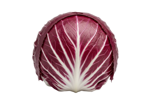 Single fresh radicchio leaf, deep purple-red hue, stark white veins, natural textures, isolated on a clean transparent background with studio lighting, commercial food ingredient concept