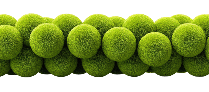 Close-up of many spherical, fuzzy, lime-green objects