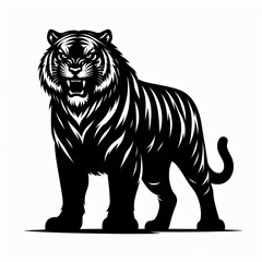 Fototapeta premium Fierce black and white tiger standing proudly