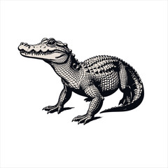 Fototapeta premium Vector art of alligator