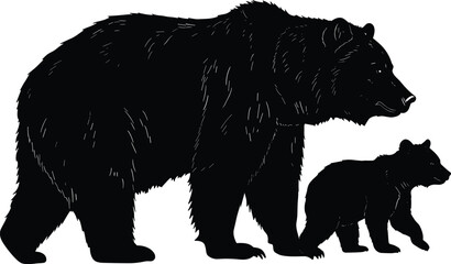 Silhouette of a mother bear walking with her cub, detailed furry outline of wild grizzly or brown bear pair