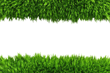 Lush green grass borders a black center