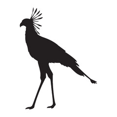 Impressive Secretary Bird Silhouette – Secretary Bird Vector Graphic for Artistic Presentation – black vector of Secretary Bird

