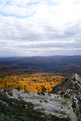 Naklejka premium Vibrant autumn landscape with golden trees under a cloudy sky in the mountains