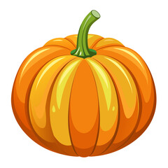 pumpkin on white background