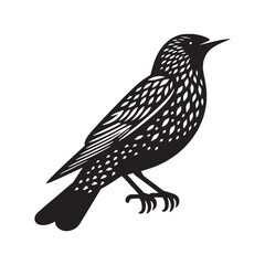 Modern Starling Silhouette – Starling Vector Graphic for Artistic and Print Projects – Black Vector of Starling


