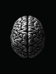 Fototapeta premium Imagen en blanco y negro de cerebro humano visto desde arriba