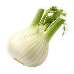 Fennel and onion isolated on a transparent background

