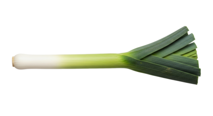 Single long fresh leek with transparent base and vibrant dark green tops, straight and well-formed, isolated on uniform transparent background with shadowless studio lighting, ultra realistic UHD