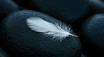Close up shot of a white feather resting on a dark smooth stone with other stones around it