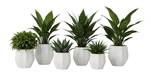 Serene Foliage: A harmonious array of potted plants, each flourishing with vibrant green leaves, presented against a backdrop of modern geometric planters, representing the purity of natural life.