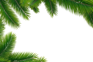 Green palm fronds frame a black background