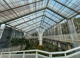 elevated shot of a modern greenhouse interior, focusing on the curved walkway, white railings, and a tree-like support structure, with lush plants below.