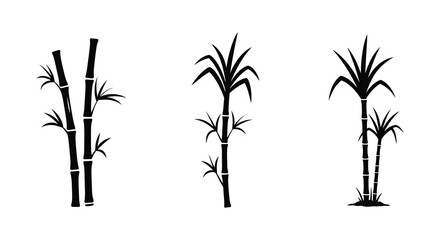 Three Sugar Cane Stalks in a Simple Black and White Silhouette