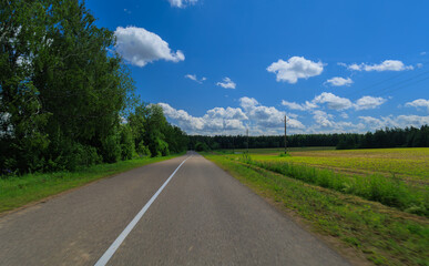 Road view on a summer day. Highways and bridge, roadside and white road line markings.