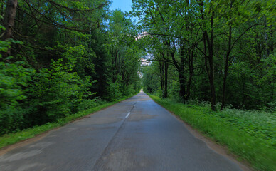 Obraz premium Road view on a summer day. Highways and bridge, roadside and white road line markings.
