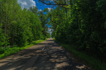Fototapeta premium Road view on a summer day. Highways and cars, roadside and white road line markings.