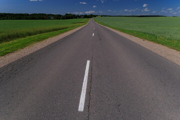 Fototapeta premium Road view on a summer day. Highways and bridge, roadside and white road line markings.