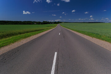 Road view on a summer day. Highways and cars, roadside and white road line markings.