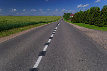 Naklejka premium City landscape on a sunny day, road and markings, asphalt and street.
