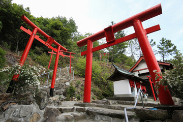 岡山県倉敷市　穴場稲荷遊歩道