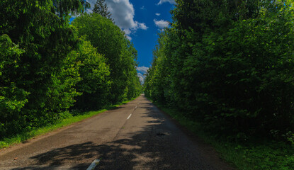 Road view on a summer day. Highways and cars, roadside and white road line markings.