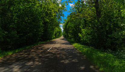 Road view on a summer day. Highways and cars, roadside and white road line markings.