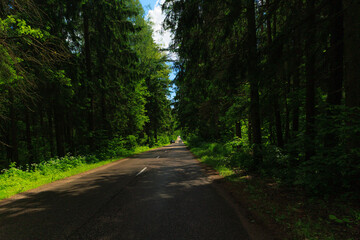 Road view on a summer day. Highways and cars, roadside and white road line markings.