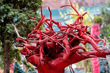 This image shows a tree with a unique and artistic twist
