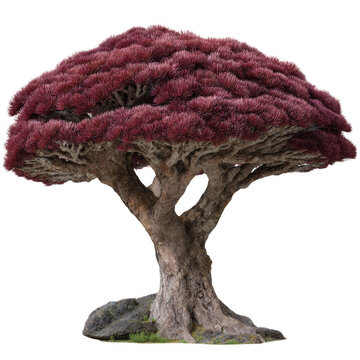 Fantasy tree isolated on transparent background