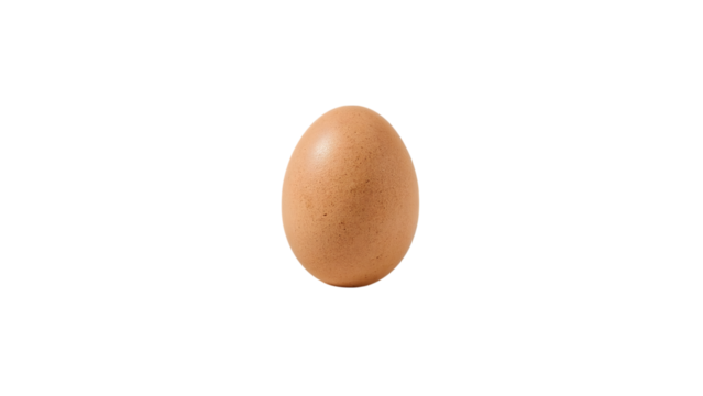 Fresh Egg: A simple yet perfect image of a fresh, brown egg, symbolizing the start of something new or the essence of wholesome nourishment. 