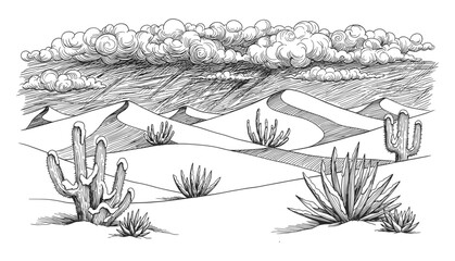 Detailed black and white pen and ink drawing of a desert landscape with rolling hills and various cacti in a distinctive silhouette style