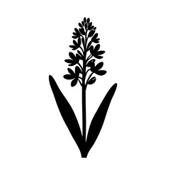 Minimalist black silhouette of hyacinth flower on white background