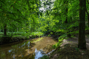 Die Pulsnitz in grünem Rahmen