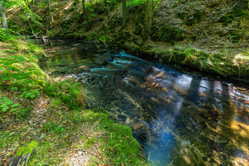 Verwirbelte Pulsnitz