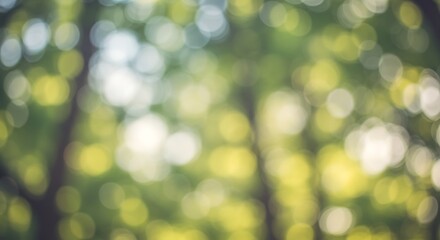 Obraz premium Blurred forest canopy with vibrant green leaves, dappled sunlight