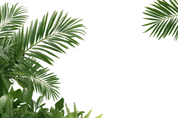 Lush tropical foliage on black