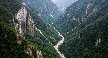 Naklejka premium Scenic Mountain Valley Landscape with River Flowing Through Lush Green Forest Trees and Rocky Cliffs Nature Photography